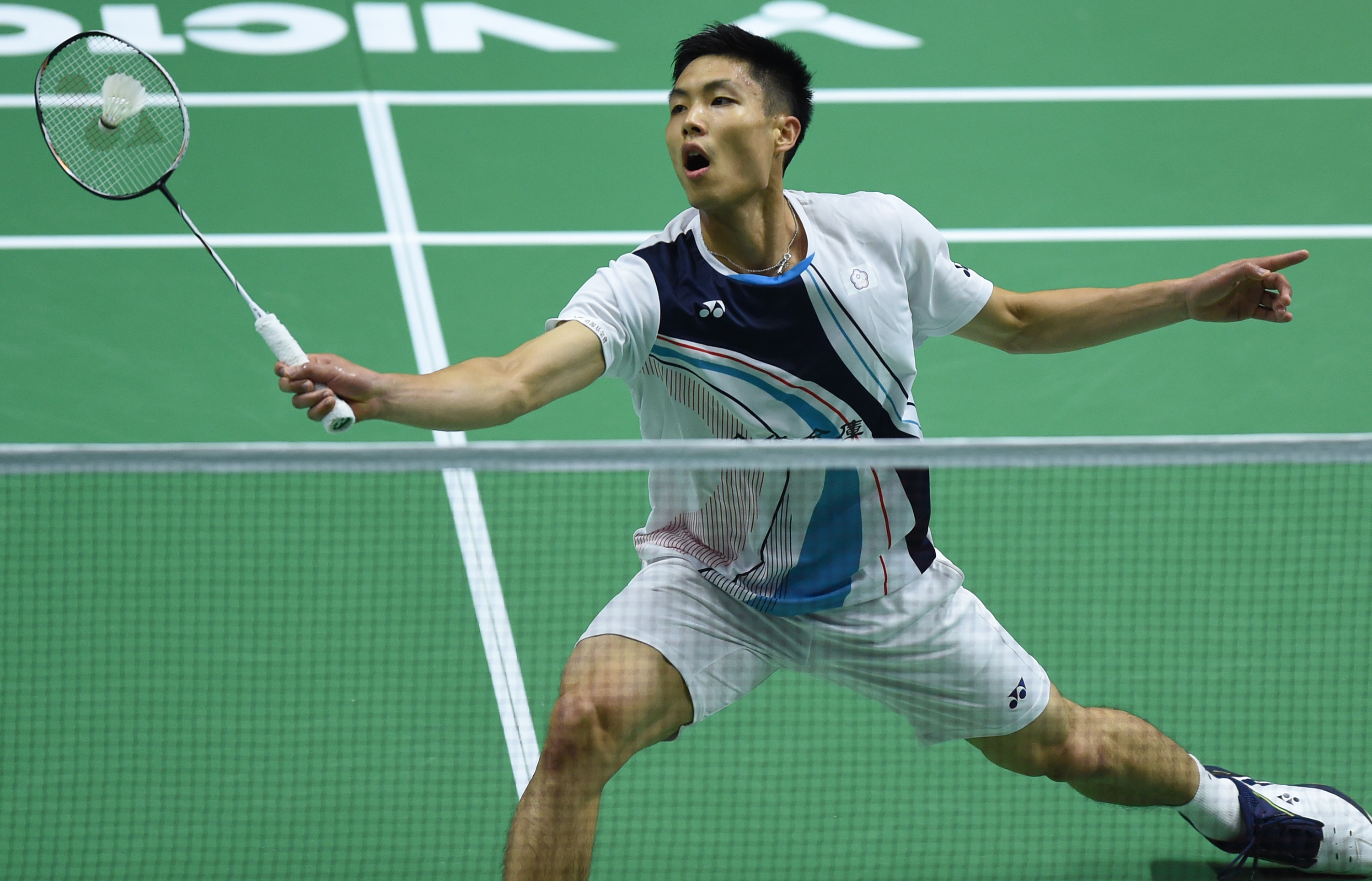 扬的斗志 扬的斗志